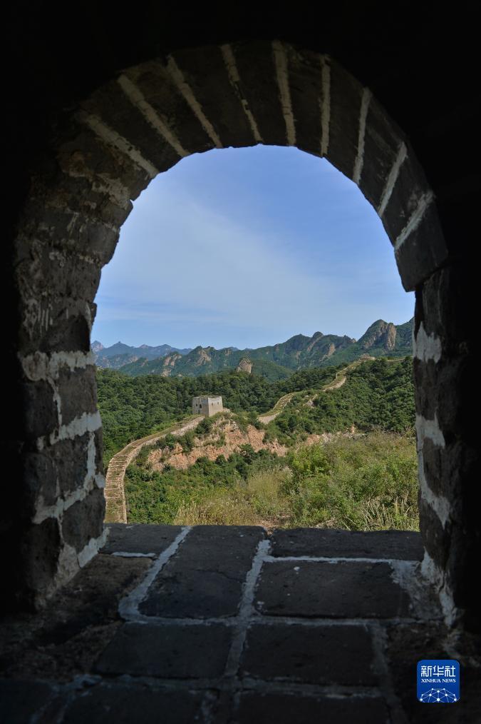 二维码